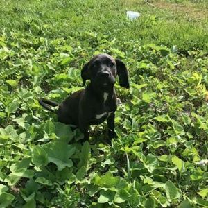 Meet your Posher, Trevor